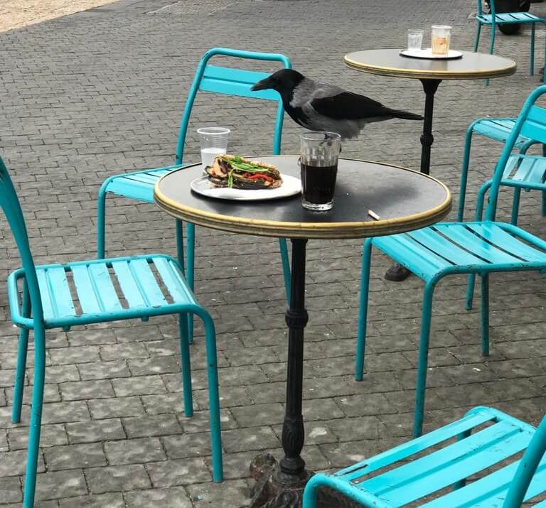 ידידה של שלזינגר שהצטרפה אלינו לראיון בבית הקפה. צילום: אביה בן דוד