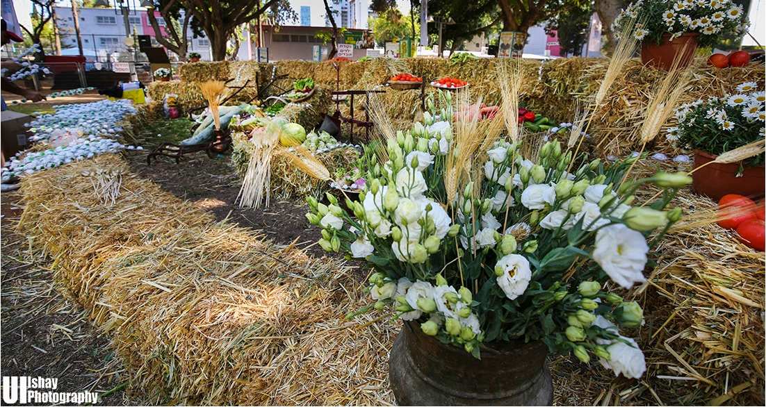 חג השבועות בתל אביב. צילום: אורי ישי