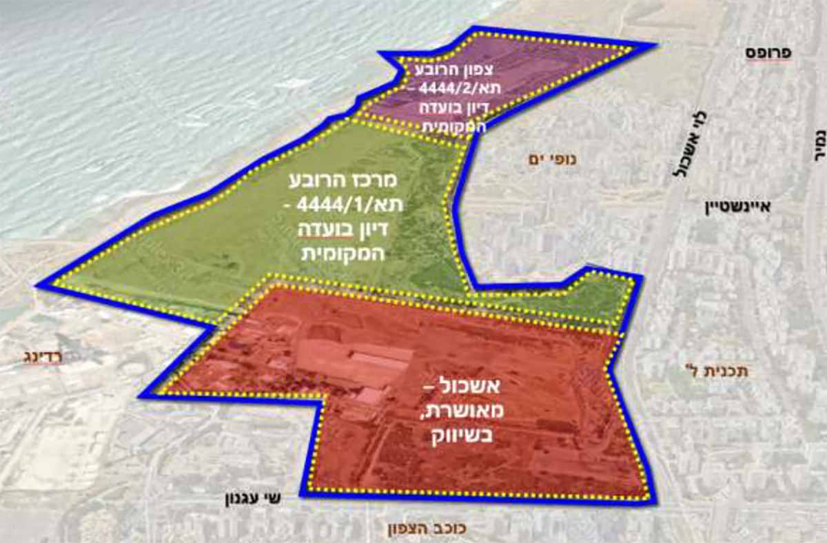 השכונות המתוכננות ברובע שדה דוב, שלוש שכונות: אשכול - מאושרת בשיווק, בצבע חום, מרכז הרובע תא/1/4444 - בדיון בועדה המקומית, בצבע ירוק, והשלישית צפון הרובע תא/2/4444 - בדיון בועדה המקומית, בצבע חום. מימין שכונת נופי ים ורחוב לוי אשכול. מימין לרחוב אשכול מצפון לדרום: שכונות פרופס, איינשטיין ותוכנית ל'. בשמאל הים. בדרום שכונות רידינג, שי עגנון וכוכב הצפון