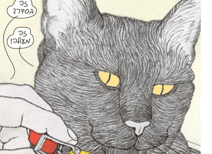 איור קומיקס חתול, צילום: יחסי ציבור