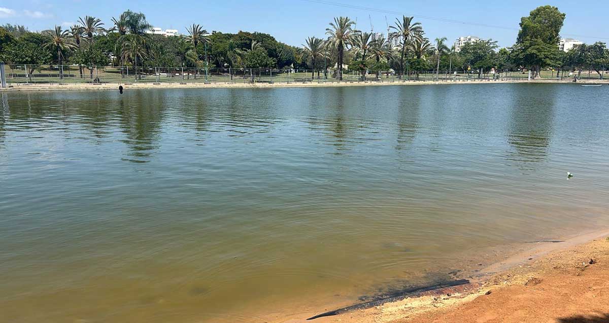 פארק מנחם בגין בדרום תל אביב. אגם מוקף בגדר ומסביבו פארק עם עצים ודקלים ודשא.